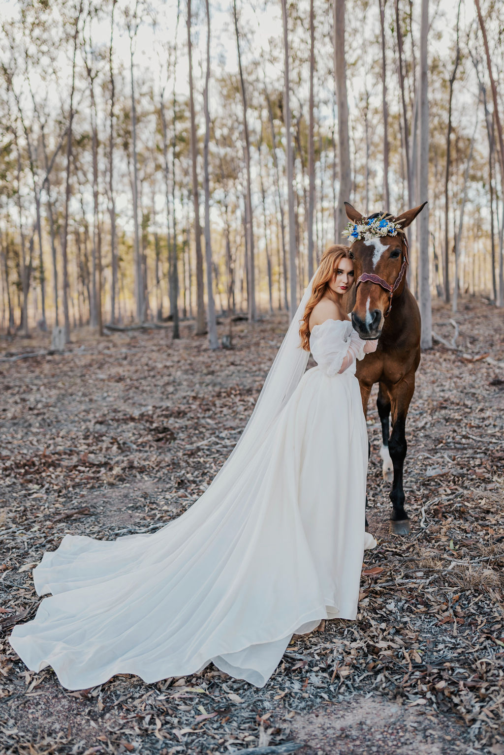 Bride with horse on country property for Sunshine Coast wedding