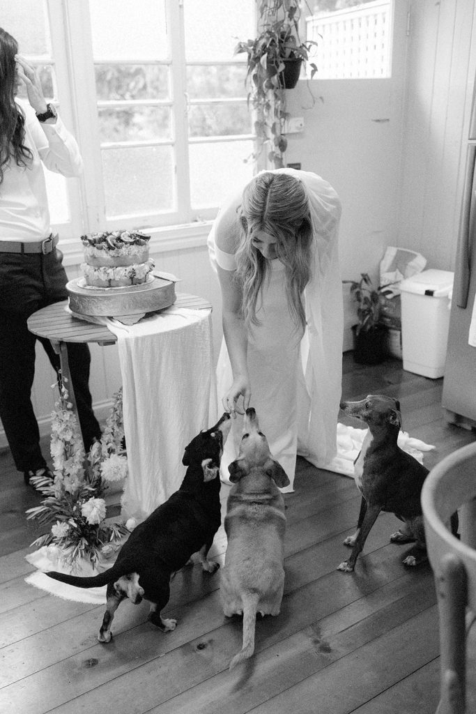 Brides cutting their wedding cake at home with their dogs after their Brisbane elopement