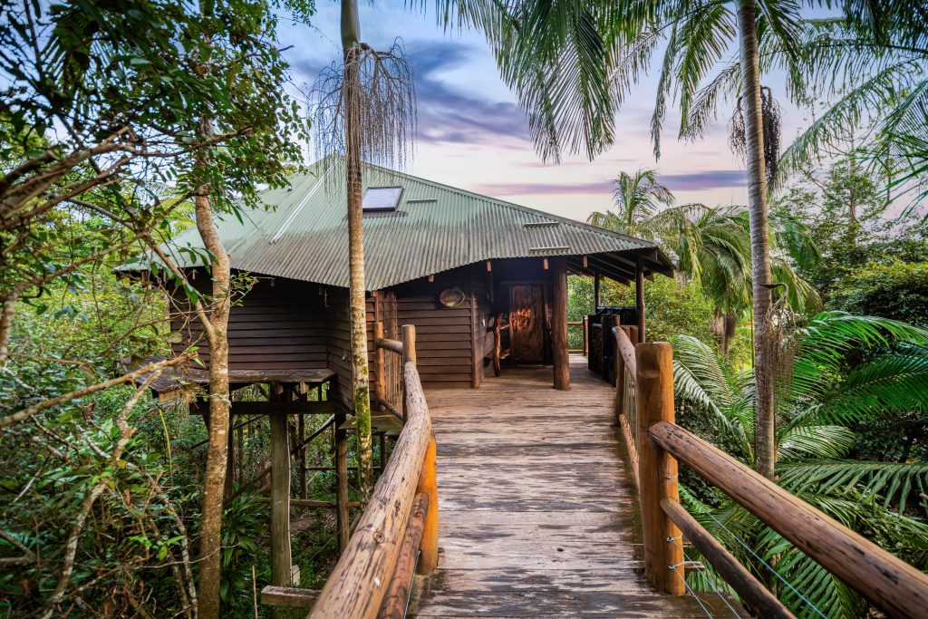 treehouse wedding night accommodation in the Sunshine Coast hinterland